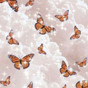 Meet your Posher, Sophie